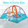 ACTIVITY PLAY GYM